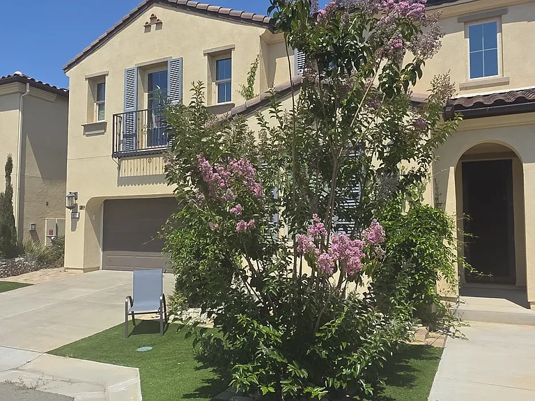 Swaying Palms Way — Photo 5