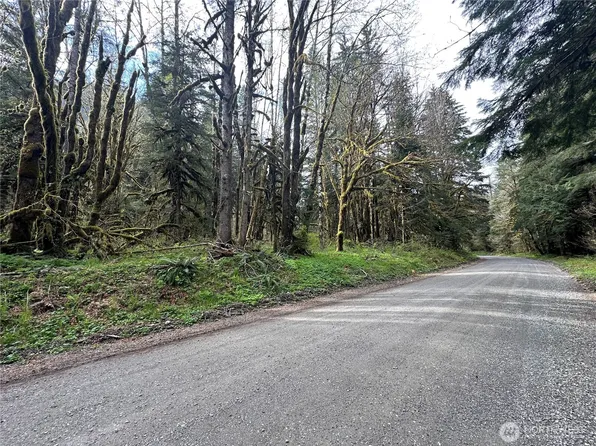 0 Miller River RD NE, Skykomish, WA 98288