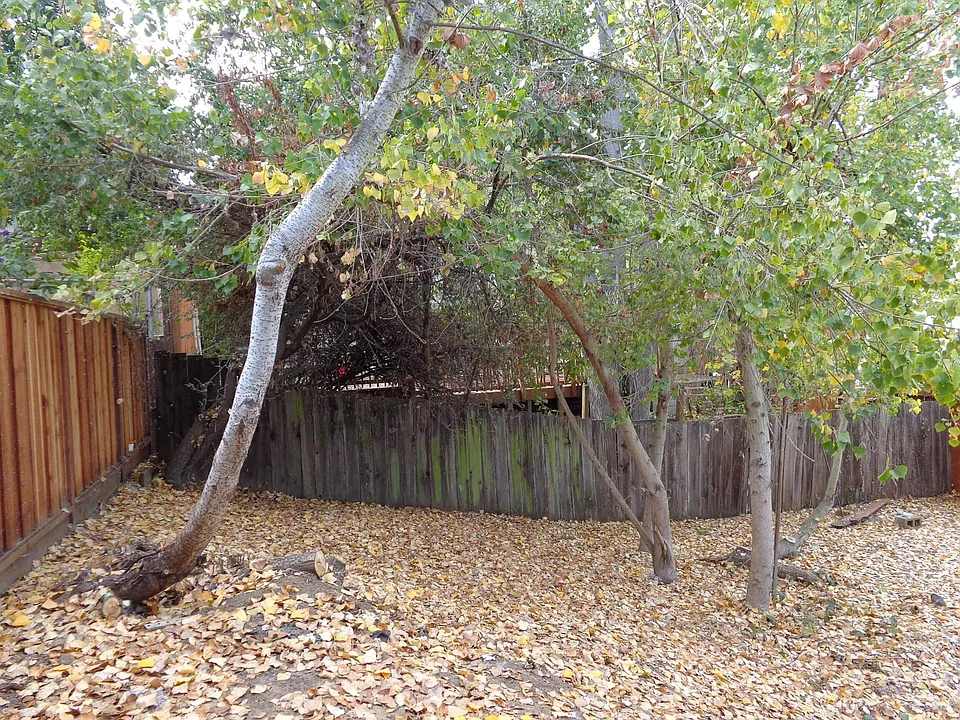 Yard