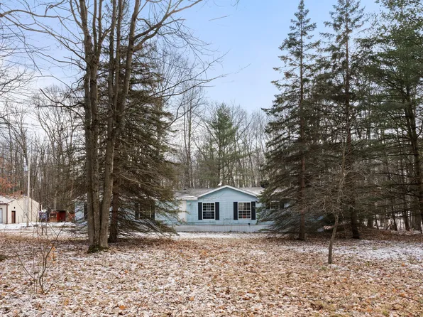 8783 E Deerfield Cir, Reed City, MI 49677