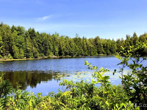 Pelissier Lake Rd, Marquette, MI 49855
