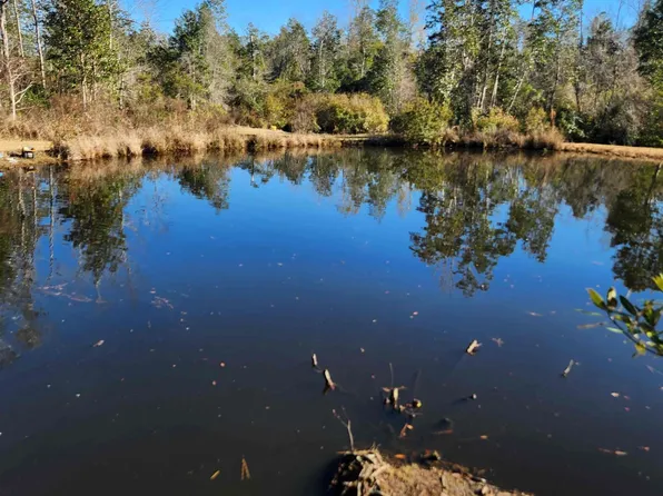 18185 NW County Road 287, Clarksville, FL 32430