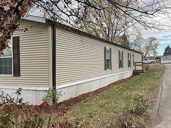 Lots of flowering bushes 