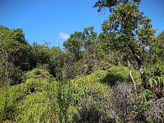5th image of Road 5 Lot 4061