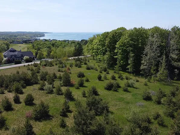 3296 Vineyard Ct, Petoskey, MI 49770