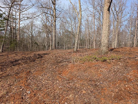 3rd image of 8 Woodstrail Dr #8