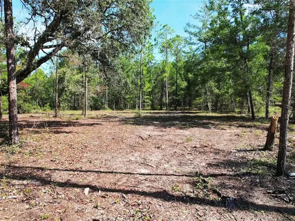 SE 6TH LANE LOT 3, WILLISTON, FL 32696