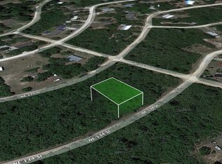 NE 134th St LOT 19, Fort Mc Coy, FL 32134