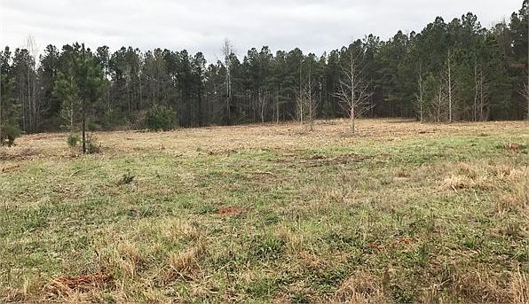 2nd image of 485 Bob Thomas Rd