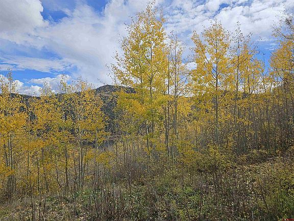 5th image of TBD County Road 243