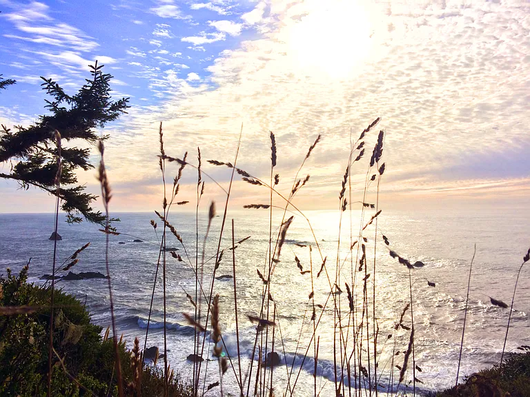 HOST FAVORITE FOR MOST SCENIC OCEAN VIEW TRAILS - Sue-meg State Park. Walk along scenic trails bordering the coastline for breathtaking panoramic ocean views. Enjoy Wedding Rock, then head to Agate Beach, & follow beautiful short trail down to the beach.