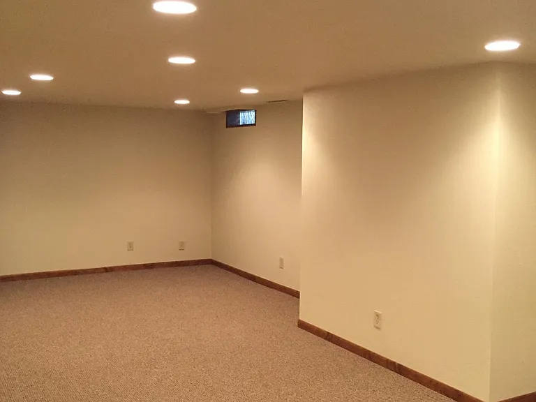 Downstairs Rec Room (25' x 12')