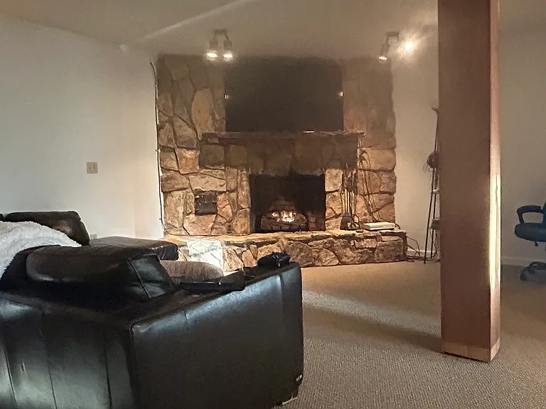 Basement Living Room