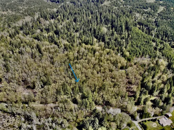11 xxx Leland Valley Rd E, Quilcene, WA 98376