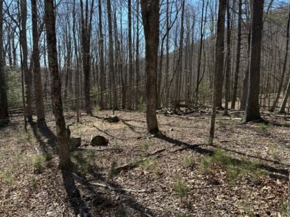 Tbd Flatridge Rd, Mouth Of Wilson, VA 24363