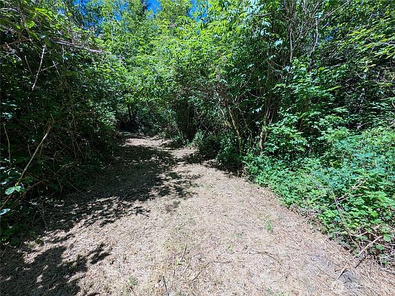 5th image of 999 Hoh River Park Drive