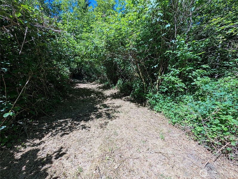 5th image of 999 Hoh River Park Drive