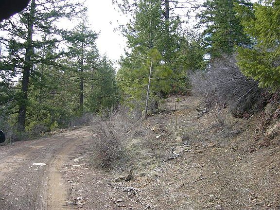 3rd image of 159.4 Acres Ridge Rd