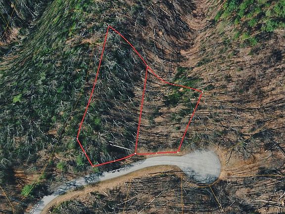 3rd image of 601 Escape Mountain Rd