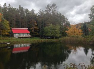 8665 S Canada Hill Rd, Machias, NY 14101