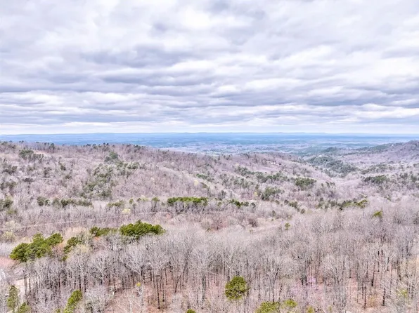 1000 Raccoon Rdg NE #1000, Ranger, GA 30734