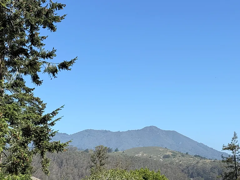 895 Marin Dr — Photo 28