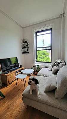 Rented by New York Dwellings LLC | media 16