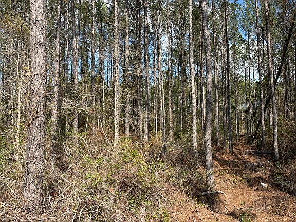 2nd image of 11 Red Oak Rd