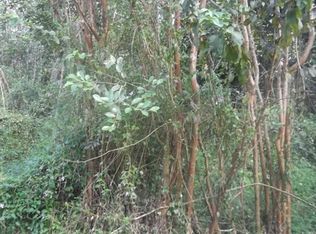 Forest Rd, Pahoa, HI 96778