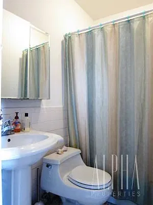 Rented by Alpha Properties NYC I LLC | media 10