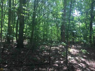 74 Lee Chester Rd, Dahlonega, GA 30533