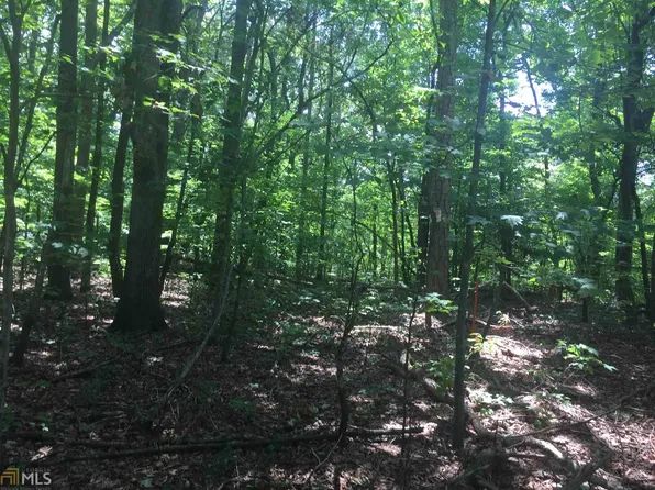 74 Lee Chester Rd, Dahlonega, GA 30533