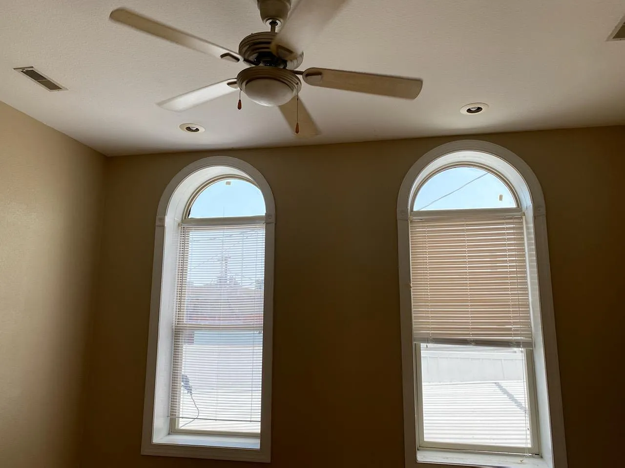 1 bed, $800 — Photo 2