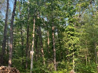 7284 S James Rd, Baldwin, MI 49304