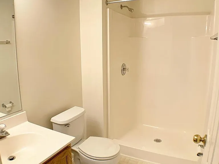 Basement Level: Bathroom