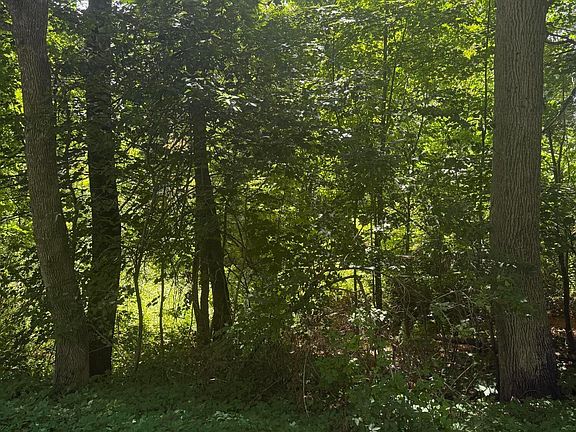2nd image of 0 Patterson Hill Road Lot 2