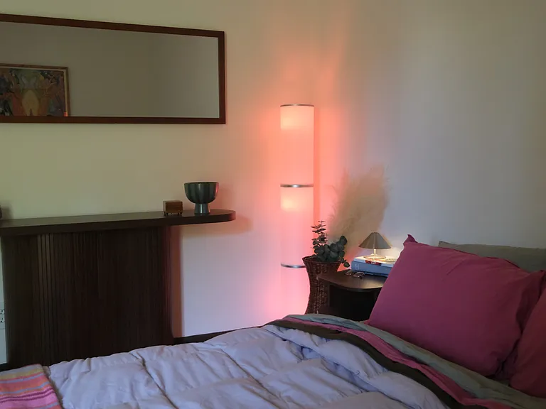 10421 Gray Fox Way — Photo 13