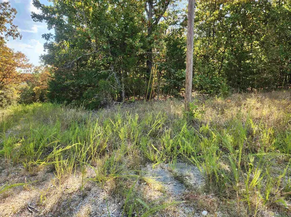 L16b5 Colonino Dr, Cherokee Village, AR 72529