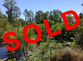 950 SW Van Buren Rd, Mayo, FL 32066