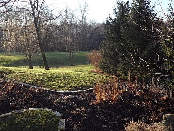 View from back of home...nothing but green space and privacy