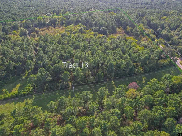 TRACT 13 County Road 4224, Frankston, TX 75763