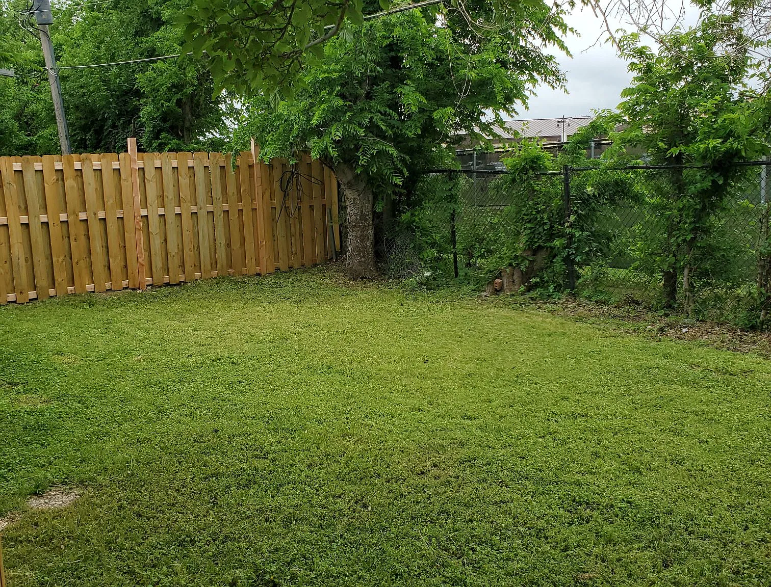 2 bed, 1064 sqft, $1,600 — Photo 4