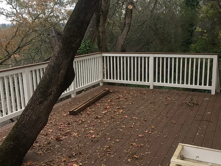 110 Rock Ravine Ct — Photo 24
