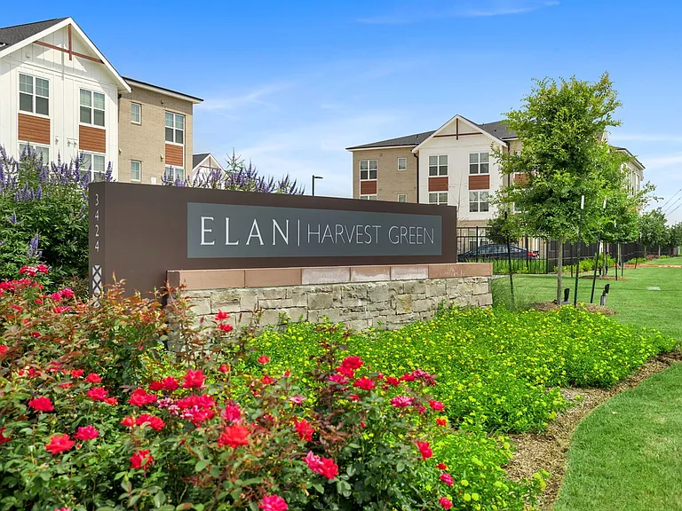Elan Harvest Green Main ID