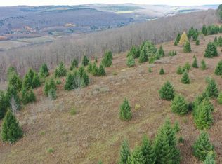 0WP Wothe Freeman Rd, De Ruyter, NY 13052