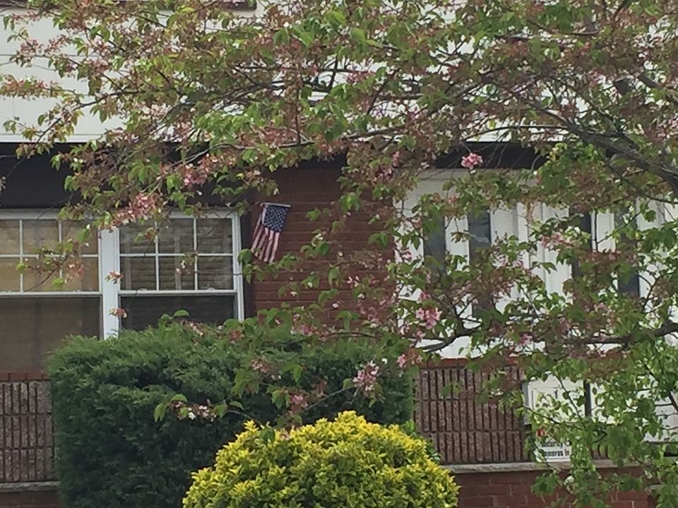 1st image of 272 Weed Ave