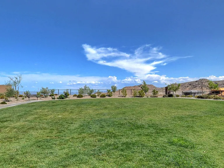 12525 Skylight View St — Photo 43