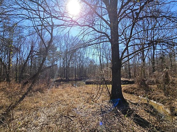 4th image of 463 McGee Rd