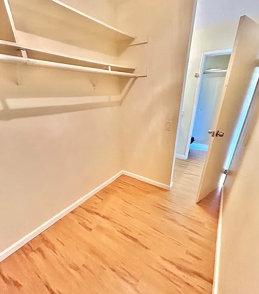 867 Shelsteve Ter — Photo 20