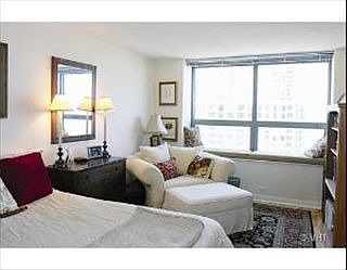 5th image of 474 N Lake Shore Dr APT 3104